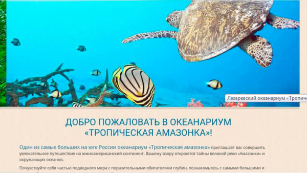 Смарт-часы с кнопкой SOS