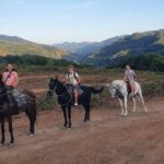 Конный клуб