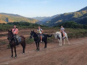 Катание на лошадях