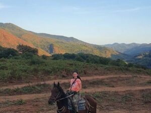 Катание на лошадях