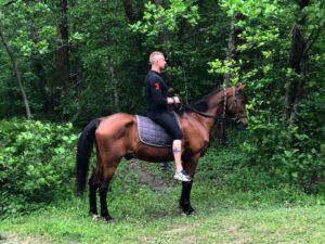 Катание на лошадях