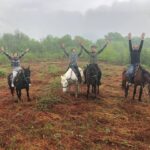 Конный клуб