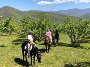 Катание на лошадях