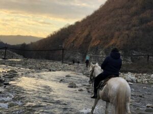 Катание на лошадях